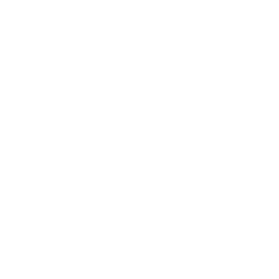 Williams Travel
